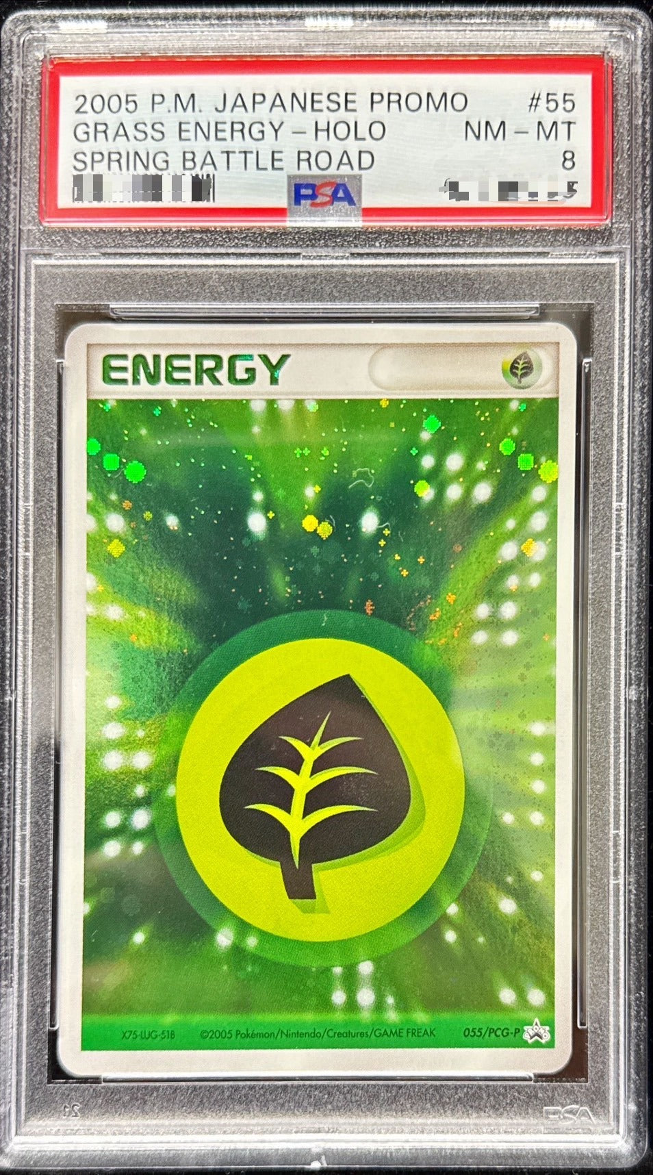PSA 8 Grass Energy 055/PCG-P Japanese Promo Quick Construction Pack Holo Card