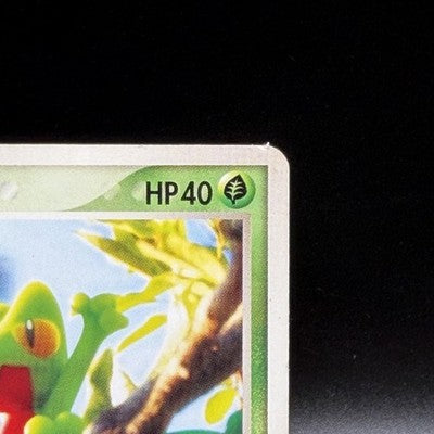 MP Treecko 037/PCG-P Promo Yokohama Pokemon Center Pokemon Japanese