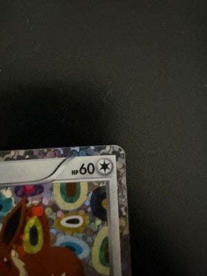 [No Import Duty (US)] MP Eevee Collection Black & White 189/BW-P Pokemon Card
