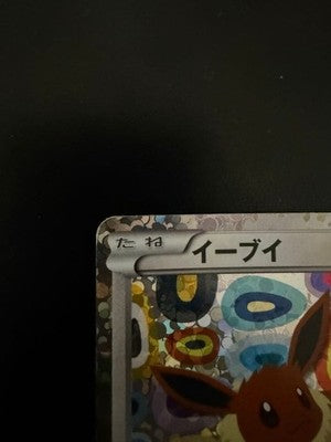 [No Import Duty (US)] MP Eevee Collection Black & White 189/BW-P Pokemon Card