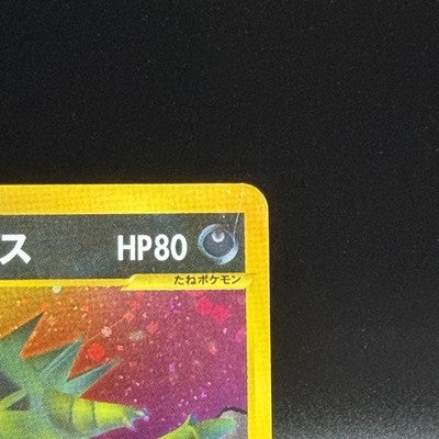 [US Duty Inc] LP Rocket's Tyranitar 142/141 1st ED VS  Pokemon Card Japanese