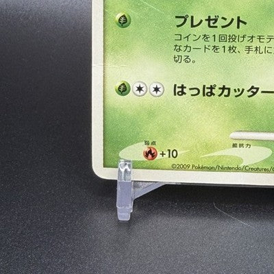 [US Duty Inc]  LP Bulbasaur 030/DPt-P Pokemon Center 10th anniversary  Card 2009