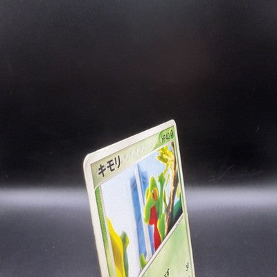 MP Treecko 037/PCG-P Promo Yokohama Pokemon Center Pokemon Japanese