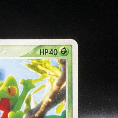 MP Treecko 037/PCG-P Promo Yokohama Pokemon Center Pokemon Japanese