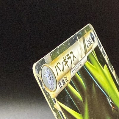 [US Duty Inc] HP Tyranitar 044/080 1st Edition Pokemon Card Japanese