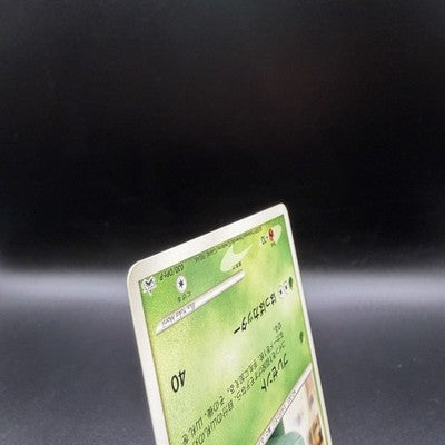 [US Duty Inc]  LP Bulbasaur 030/DPt-P Pokemon Center 10th anniversary  Card 2009