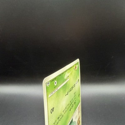 [US Duty Inc]  LP Bulbasaur 030/DPt-P Pokemon Center 10th anniversary  Card 2009