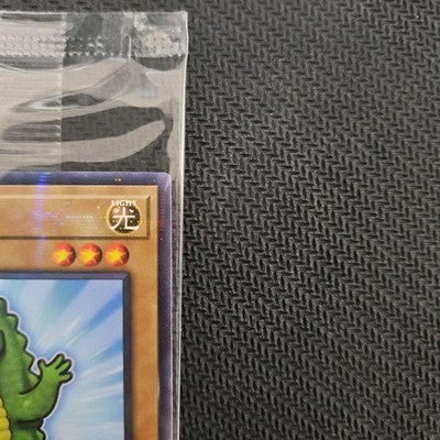 NEW Yu-Gi-Oh x Crocs CROCODILE Promo Card Japan Exclusive