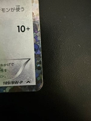 [No Import Duty (US)] MP Eevee Collection Black & White 189/BW-P Pokemon Card