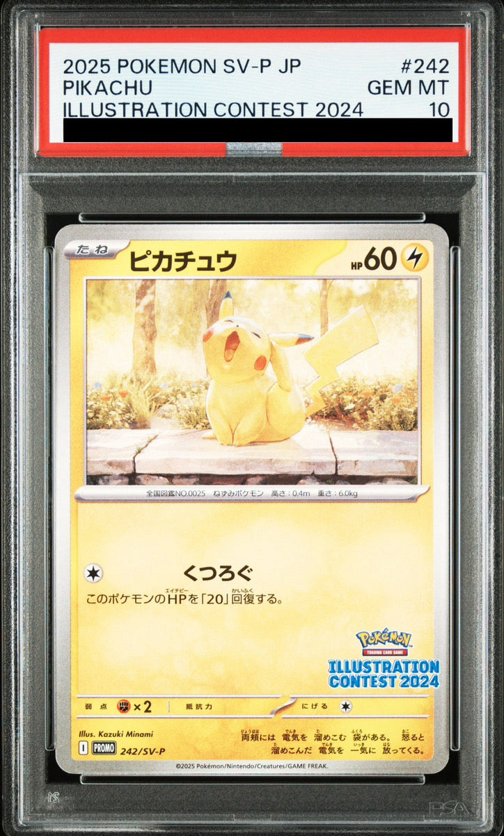 PSA 10 Pikachu Illustration Contest 2024 242/SV-P Promo Japanese Pokemon Card
