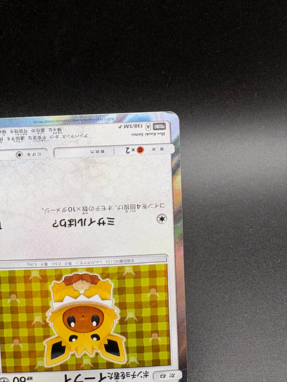 Eevee Poncho Jolteon 138/SM-P PROMO Pokemon Card Japanese 2017 Rare Holo