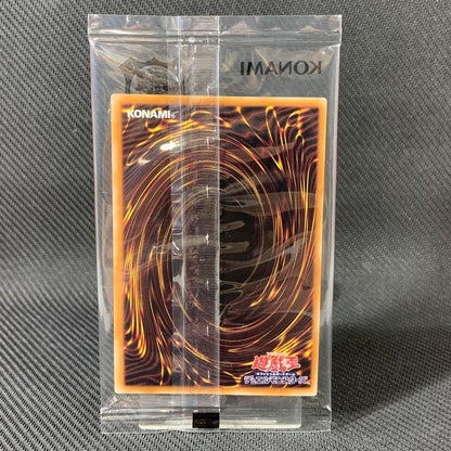 NM Dark Magician Tokyo Dome Promo 25th Secret Rare TD01-JP001 Japanese YuGiOh